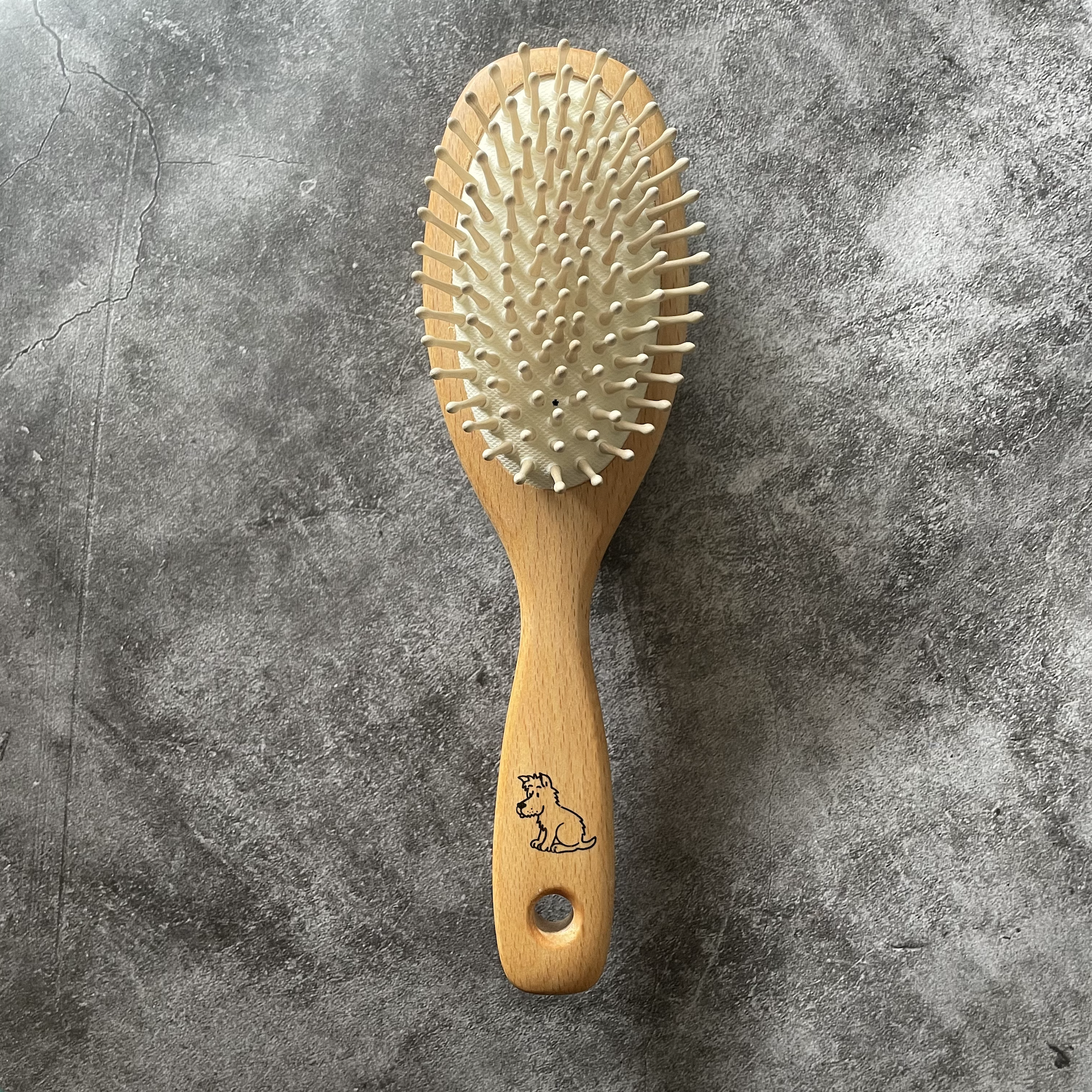 Beechwood Vegetable Brush - DIG + CO – DIG + CO.