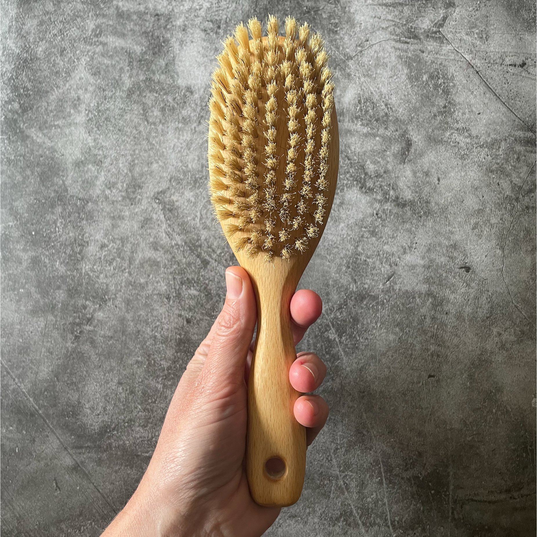 Beechwood Vegetable Brush - DIG + CO – DIG + CO.