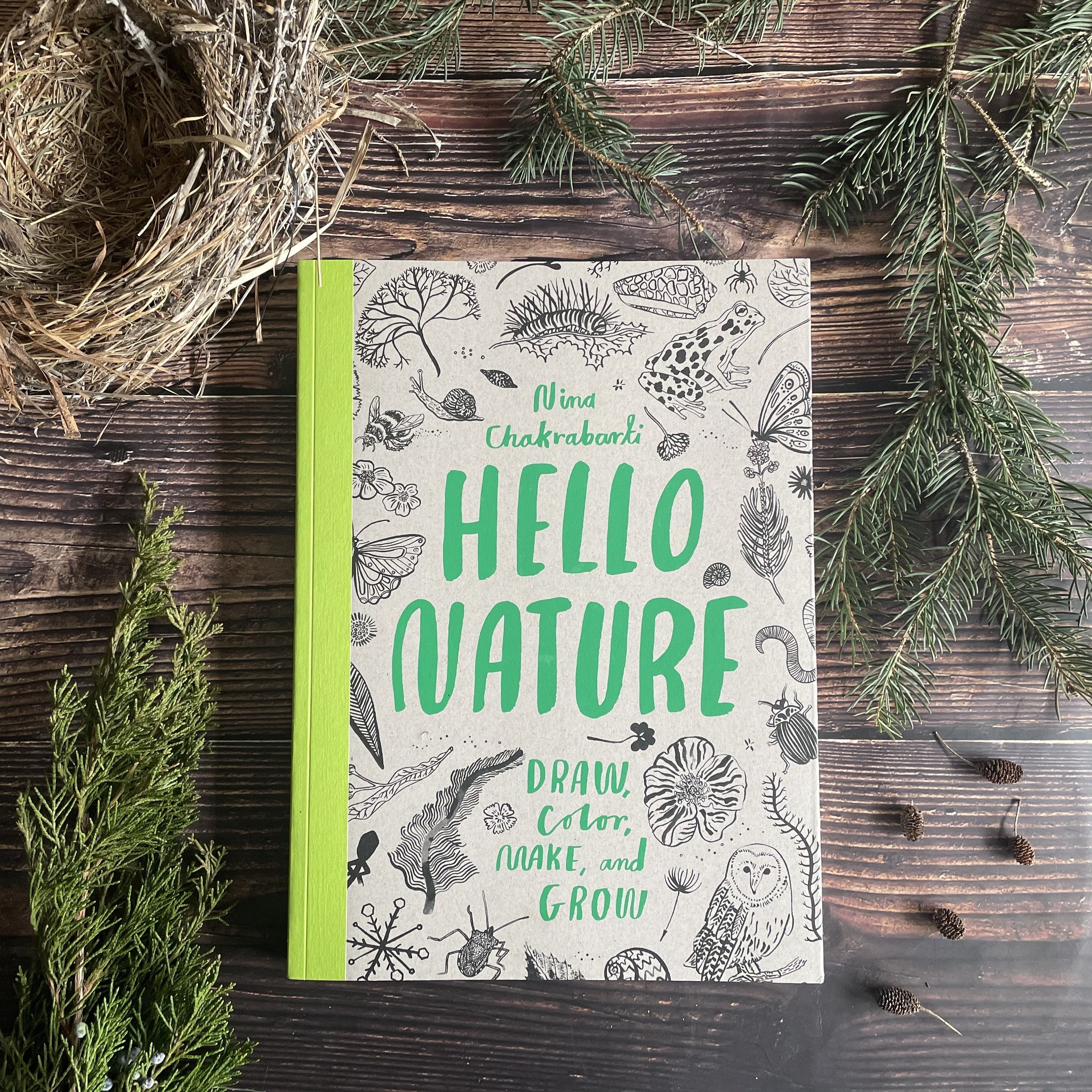 Hello Nature: Draw, Colour, Make and Grow [Book]