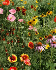 Wildflower Seed Mix