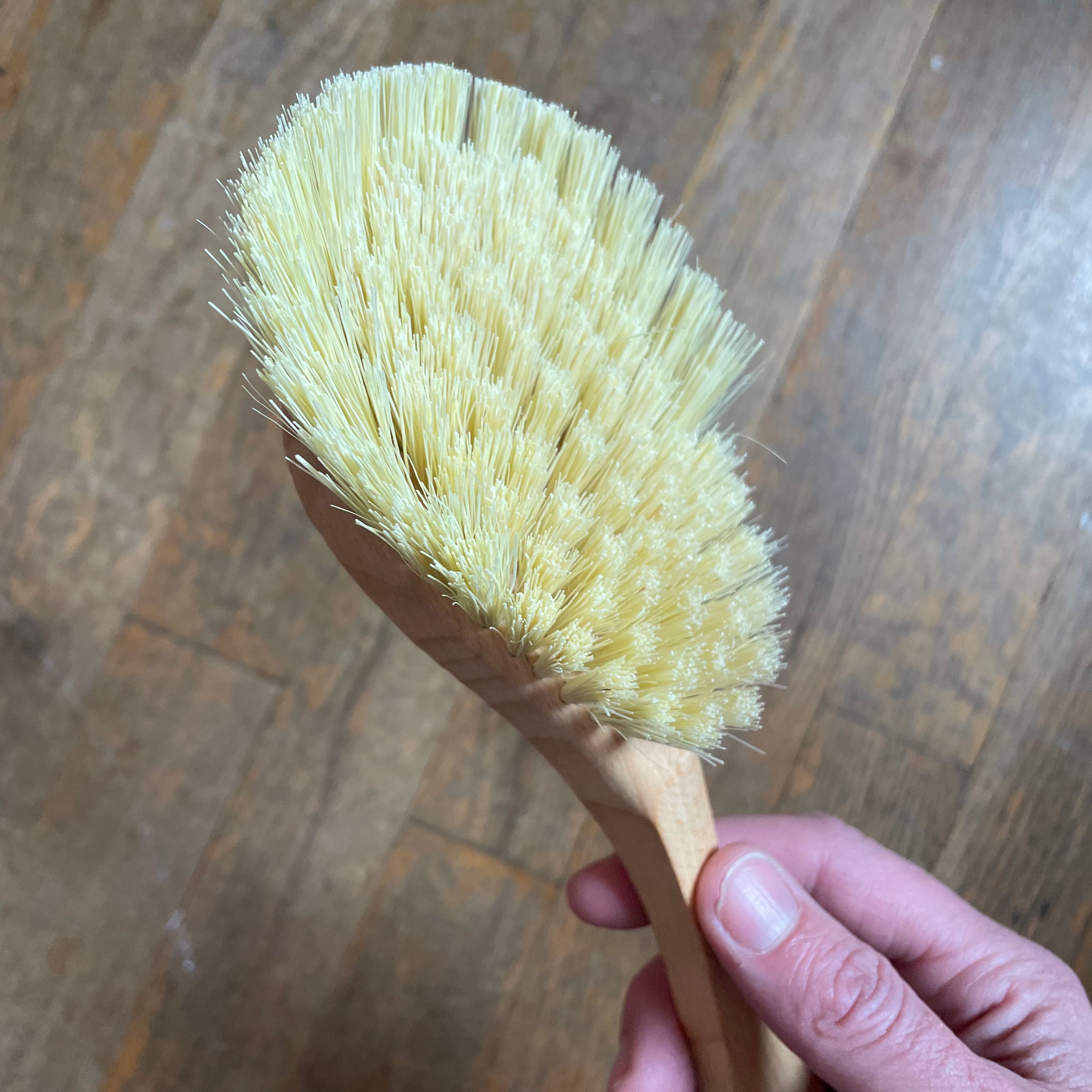 Beechwood Vegetable Brush - DIG + CO – DIG + CO.