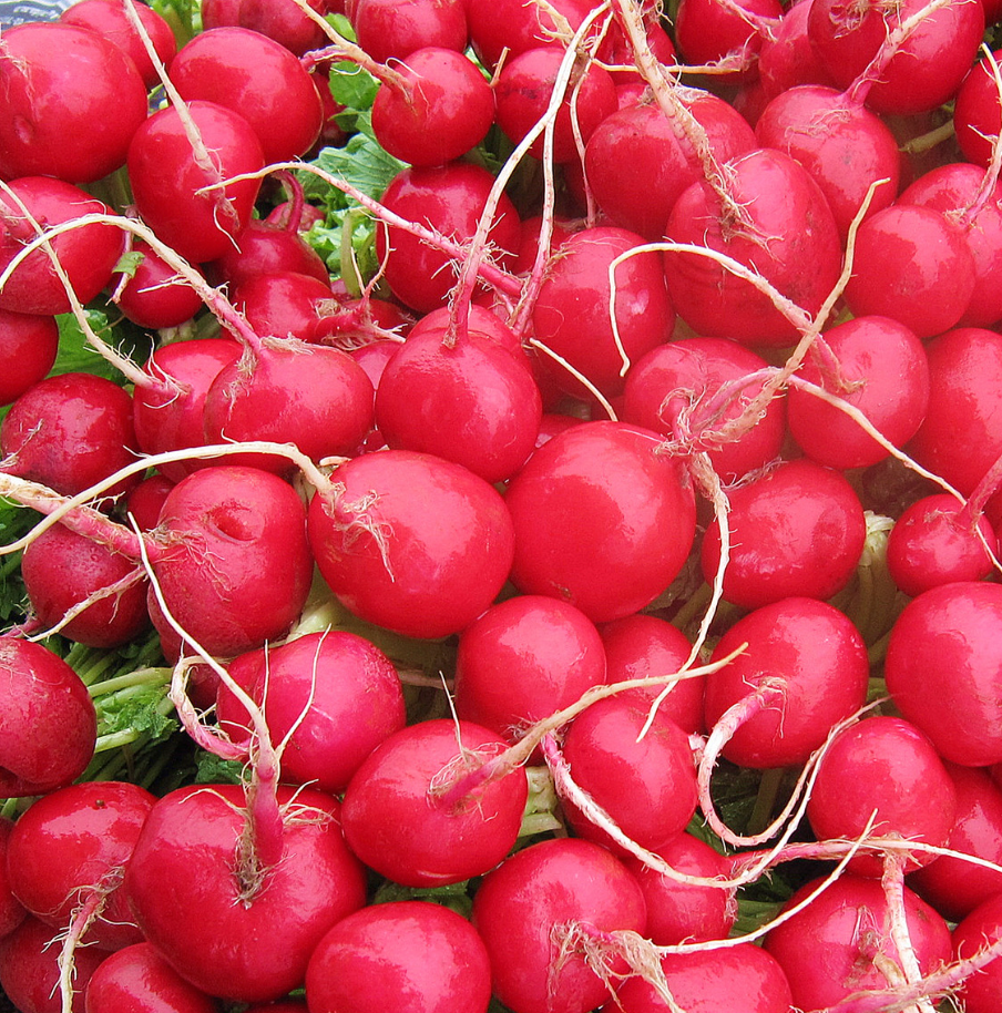 Radish Organic Seed / Pink Beauty