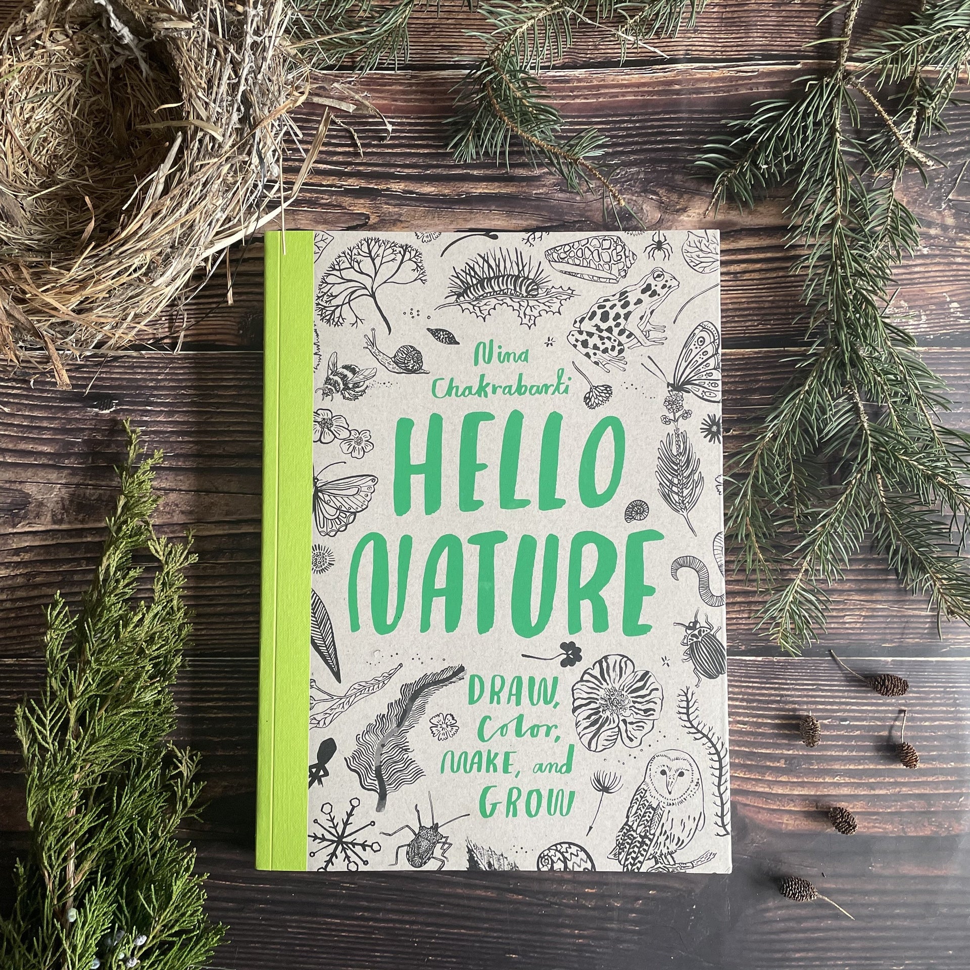 Hello Nature: Draw, Color, Make, and Grow Activity Book – DIG + CO.